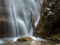 Baumstamm am Fuß des Wasserfalles